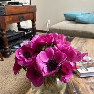 Meet your Posher, Julia